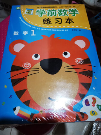 语文数学一起购买了，放学可以做一点， 每天都练习几页。为幼小衔接准备。