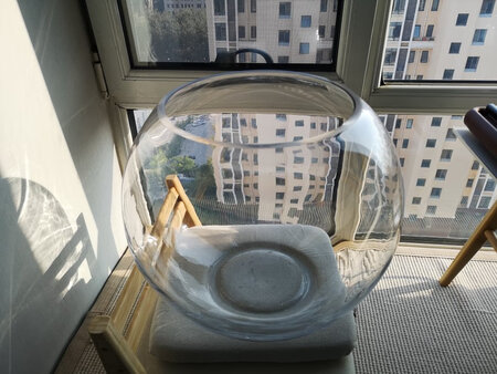 差评，两个大气泡