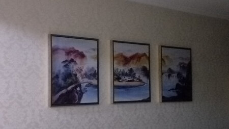 工艺品质：轻巧 实用
适用场景：挂客厅挺好