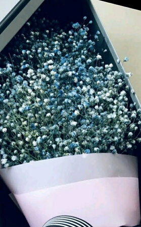 花?已经收到，保存的很好，给好评