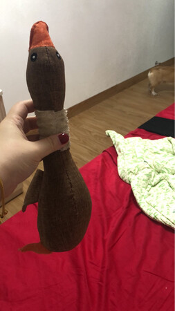 玩具收到了，很可爱，我的柯基很喜欢玩，不过他都喜新厌旧的，玩了一阵子就不玩了，好评吧，希望不要那么快咬烂