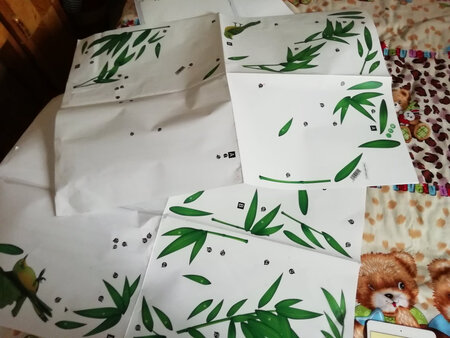 适用场景：适合放在卧室，起床就可以看到开着窗户一片绿色。
产品气味：刚打开有气味，不打开窗户有点晕，放在窗户散了散还好
建议：左右边竹子分开放到两张上，全混杂在一块不好找，更重要的是，两边竹子枝干都不够