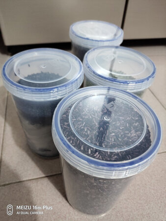 不知强迫症作祟还是说在意思生活中细节，喜欢鼓捣这些瓶瓶罐罐玩意儿，不得不说，这东西贵有贵的道理，整个瓶体结实，质感非常强，没有非常明显的塑料味儿，简单清洗即可，密封性极佳，用来装家里的坚果豆类再适合不过。可以保持东西的新鲜、不变质，而且整理归类起来非常方便。总之，这东西真好，喜欢。