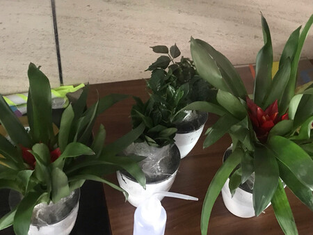 挺好的，回到家都很新鲜