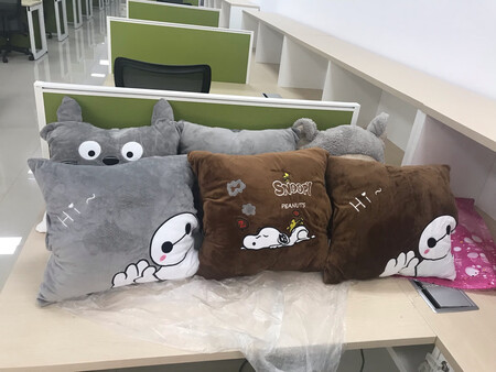 部门礼物，一枕多用，里面的被子较薄，可爱