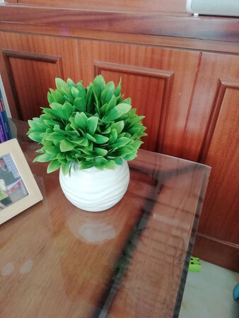 第一次在网上购买花艺，算是比较满意的购物体验。物流速度很快，次天达，本来还挺担心陶瓷瓶运输过程中碰坏了，不过收到货物后就觉得特别赞，都是用充气袋包装得严严实实的，确实专业，点个赞。活动买的，觉得性价比还是挺高的，虽然实物近看起来还是有点塑料花的感觉，不过远看还是挺赏心悦目的。我看了还有好多款的，正在研究是否一次性买多几个。
