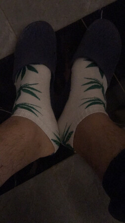 袜子挺好的，这个季节穿刚刚好，而且还特别好看，这个枫叶真的好看呢！物流相对也算可以，一直在京东购物，也信赖京东了，
