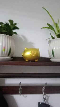 很小巧，很漂亮，性价比高，物流很快，包装很好