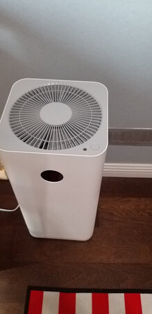 净化效果：非常好
外形设计：漂亮