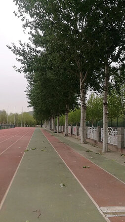 相框质量很好，艺术性高，包装完美，下次继续购买。如果搞点促销，销路会更好。