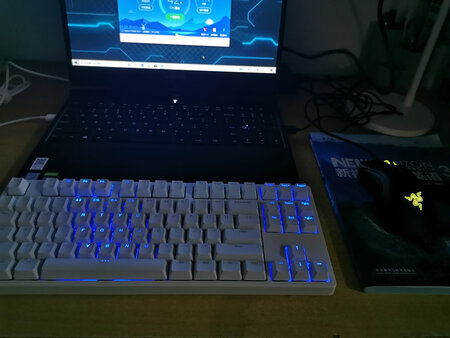 舒适度：第一个机械键盘，玩的确实不累，或许第一把键盘应该茶轴？茶轴更有机械键盘的感觉一点，红轴玩游戏应该更专业一点，希望以后我技术更强hhh
外观颜值：总感觉另一个版本更好看一点（买完之后我才发现有2个版本随机发货），可能我没找好拍照的角度吧