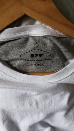 Z棉先生长袖t恤男 秋季纯棉圆领打底衫白色磨毛长袖体恤春秋款秋衣 漂白 L