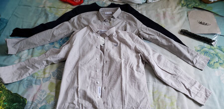 最舒服的就这件了，面料太舒服了。说句良心话，十多年没有穿以纯了，现在的质量做工设计款式比过去好了很多了，还很时尚。这就是民族品牌吧，东莞制造，棒！