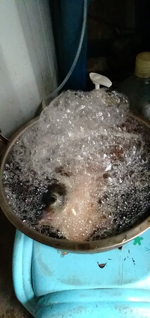 蔬果解毒机用了不错，能打出好多泡泡出来，就是臭烟味很难闻，买了这个现在食品放心吃，又健康