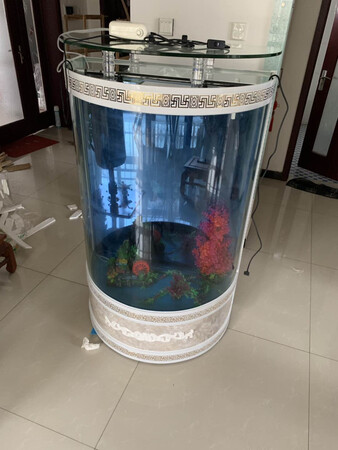 很棒的啦 很好。嘿嘿?