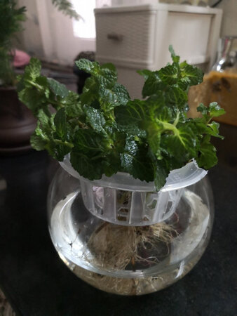 质量挺好，很满意。