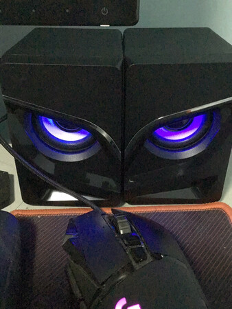 东西还不错，这个价位的音箱，这样很满意。客服小西很周到。