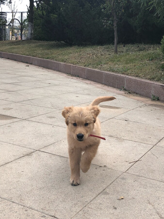非常喜欢玩