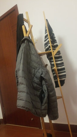 外观样式：样子还不错
商品质量：有点轻，得放个花盆压着点
产品材质：大概是竹子的
承重能力：挂衣服，也不会太重的
