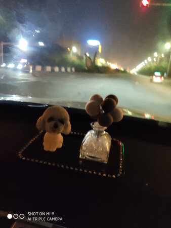 好看是认真的