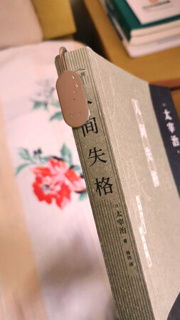 超好看，被他的颜值震惊了  有点贵 但是很喜欢