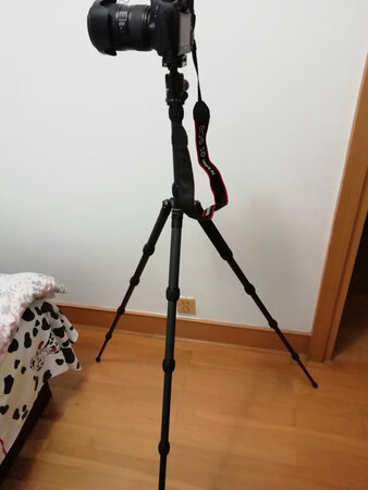 挺好的三脚架，收到后试一下，5D4架上很好，很稳。明天出去照一下试试。点赞。物流也很快。订货一天就到家了。