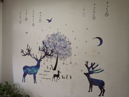 效果不错，基本与描述相符