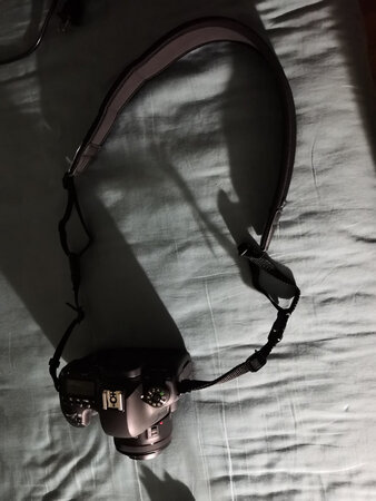 软的，结实，轻便，好用，比原装的相机带软，背着不累！。推荐购买！好评！