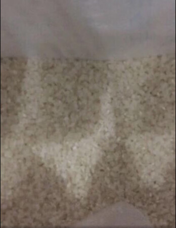 这个大米我买过几次了，一般都是以这个大米为主！这么一大袋要吃几个月了！这个大米我觉得要放水稍微比煮饭锅的刻度线高那么一点点，感觉少了有点硬。看了日期是10月10号的，是近期的。