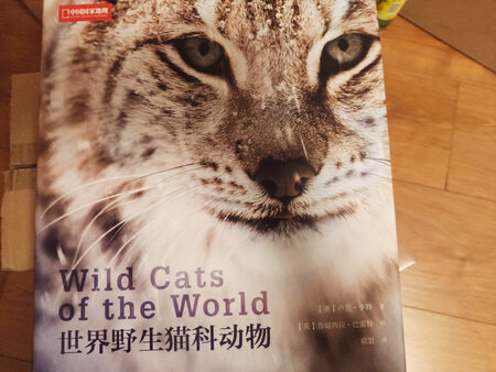 书确实不错，印刷也很美，值得