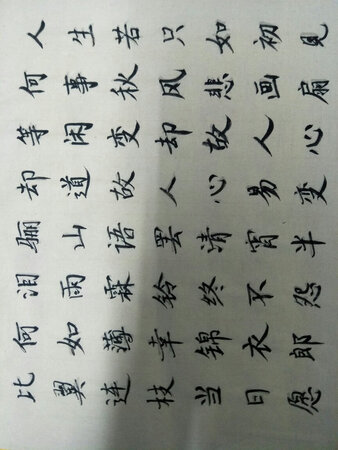 临摹这些文字，思考一个问题，突然发现文学带给的平实和自然，发现生活的美，其实人生就是一场美的沉思。初次写的毛笔字，整体美感不如人意，但是内心却无比充足与平静，我仿佛穿越到古代，成为闺房中那个蕙质兰心的女子。