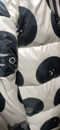 羽绒服好看。所谓品牌的力量大概就是这样，不经意间成就了经典。，柔软舒服。颜色正。款式好看。还要点赞店铺，店铺服务一流。客服沟通顺达。真是好店铺的代表，店家把顾客至上诠释的淋漓尽致。事实证明我的选择正确。喜欢的语言无需太多华丽的辞藻。衣服包裹收到了，感觉确实不错。颜色好看，样式好看，