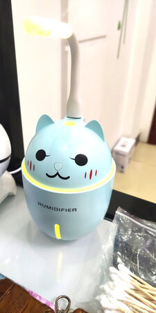 哈哈哈，话不多说，先看图，是不是美翻了，嗯，我加了美颜滤镜效果，当然实际上也不错，里面可以加纯水，当成加湿器；里面也可以加点香料，当成香薰机；里面还可以加点药材，当成药熏机，多用吧，哈哈哈，为了京豆，真的不容易，太难了！