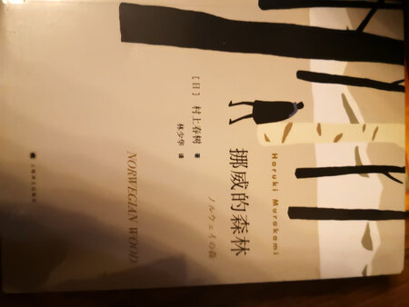 双十一买的，100-50，性价比还不错，书的质量也很不错，送货也很及时，没耽误。村上的代表作，找时间仔细读读。