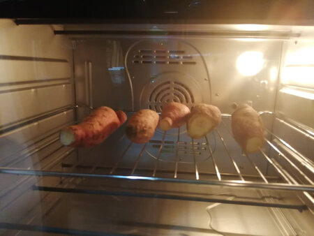 第一次实验烤红薯还行