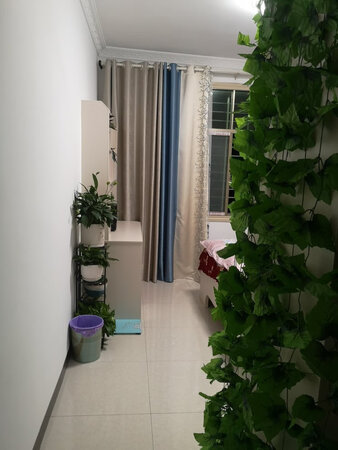 还行吧！比预想的要好，就是有一点点味道，通一下气，估计过两天就没了，给好评吧！