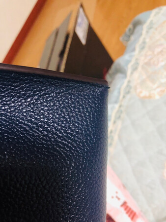 第一次颜色给我发错，第二次收到的包包线头贼多，小锁子不直。和我在专柜看的差距大，没有那个质感，怀疑是不是真品