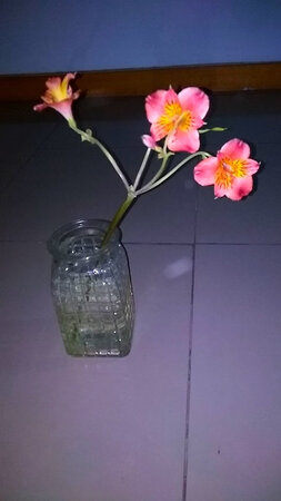 老婆超级喜欢，百看不厌