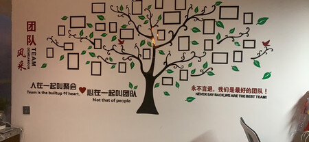 包装还可以，就是零件太零散了，我们三个人组装了三四个小时，一小块一小块拼的，不过我们装的稍微有点低了，因为这个组合的横行比较宽，纵向比较短一点。