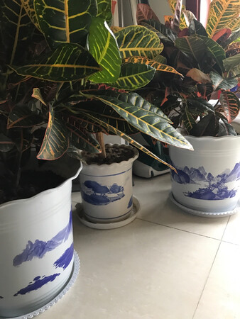 您没有填写内容，默认好评