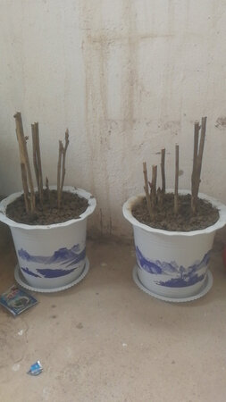 质量挺好，很满意。