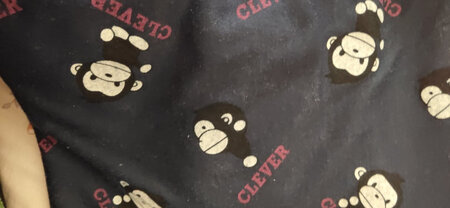 衣服差的狠根本不是全棉的还有静电还吸灰尘脱衣服带静电