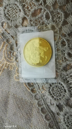 龙年生肖纪念币，全新币，不错的。