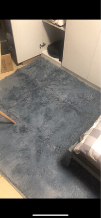 快递速度很快，到家就铺上了，很舒服也不掉毛，质量还是不错的，也很舒服，冬天躺在地毯上也不会感觉很凉，家里还有只猫也很喜欢，总之感觉还是很良好的，也没有异味。建议购买，朋友来了也说不错，加上有了地暖后感觉更急舒服。