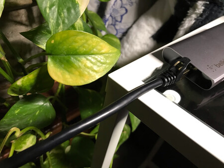 看到大家的网速都提高到最高值很羡慕，也买了这款网线。外观等等看着不错，水晶头有保护套，可见黄铜色包裹。连忙连上电脑试一试，可是为什么我的网速几乎没有提升呢？不知哪位大神可以解惑一下。这速度究竟是和带宽的容量有关还是和服务商有关？与电脑是苹果系统还是windows系统有关吗？疑惑中。