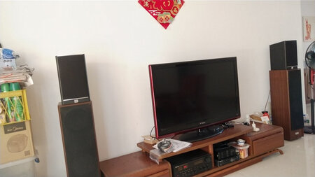 物流神速，试听2天，听流行歌和人声很好，正在煲机中期待煲机后有音质更好，在哈曼中国查询到是正品。店主送的功放不错，下次向店主再购买个功率更大的功放！