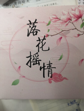 充满少女心的小商品，闺女盼了好久终于收到了，约了同学回家一起欣赏，喜欢程度相当高。粉粉的外观，包装盒很漂亮，打开后是一个小本子，一个小钱包，闺女说以后出门可以自己装钱了。手账本没有贴纸，又给闺女配上了贴纸，一堆少女的小物件。