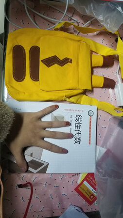 太小了，最小的现代书都装不下，对我算个废废
