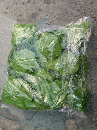看起来不错的一款产品，可谓物美价廉。