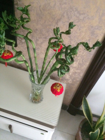 物流有点慢，回来有点皱巴，自己买了小灯笼挂上，卖家还多送了一根，整体满意吧！